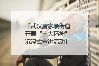 武汉唐家墩街道开展“三大精神”沉浸式宣讲活动