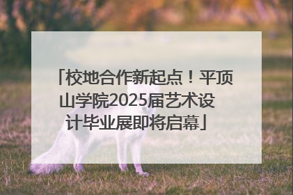 校地合作新起点！平顶山学院2025届艺术设计毕业展即将启幕