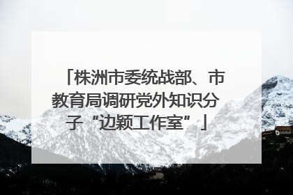 株洲市委统战部、市教育局调研党外知识分子“边颖工作室”