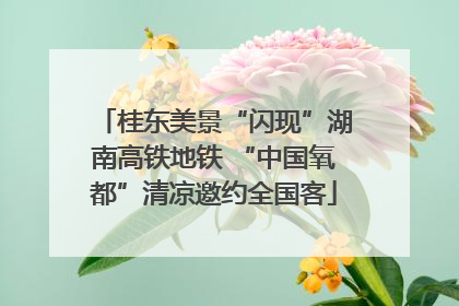 桂东美景“闪现”湖南高铁地铁 “中国氧都”清凉邀约全国客