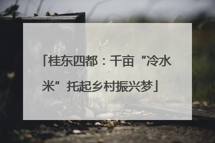 桂东四都：千亩“冷水米”托起乡村振兴梦