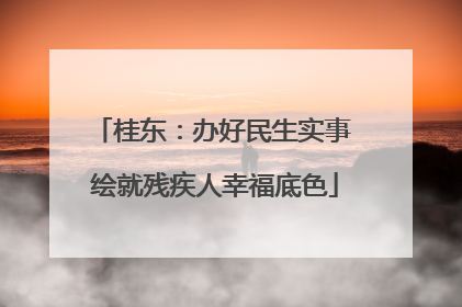 桂东：办好民生实事 绘就残疾人幸福底色