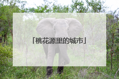 桃花源里的城市