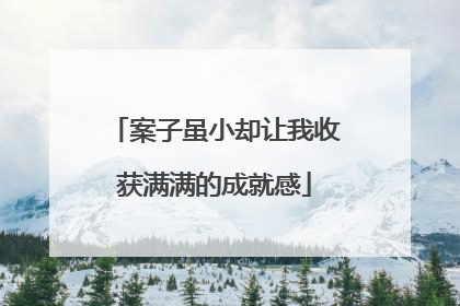 案子虽小却让我收获满满的成就感