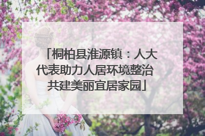 桐柏县淮源镇：人大代表助力人居环境整治 共建美丽宜居家园