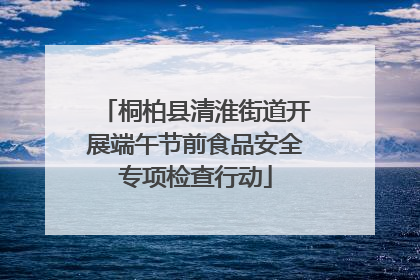 桐柏县清淮街道开展端午节前食品安全专项检查行动