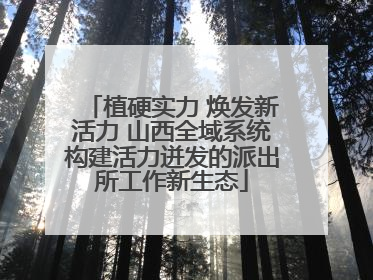 植硬实力 焕发新活力 山西全域系统构建活力迸发的派出所工作新生态