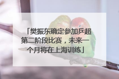 樊振东确定参加乒超第二阶段比赛，未来一个月将在上海训练