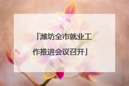 潍坊全市就业工作推进会议召开