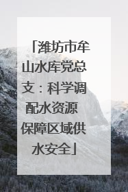 潍坊市牟山水库党总支：科学调配水资源 保障区域供水安全