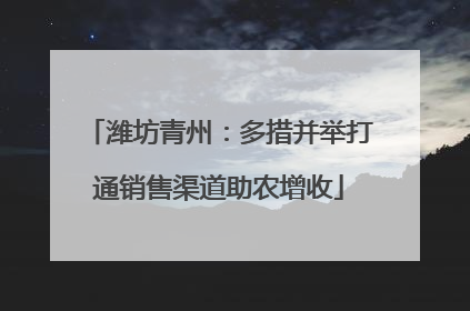 潍坊青州：多措并举打通销售渠道助农增收