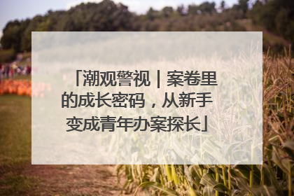 潮观警视｜案卷里的成长密码，从新手变成青年办案探长
