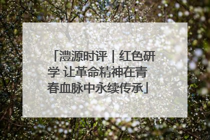 澧源时评｜红色研学 让革命精神在青春血脉中永续传承