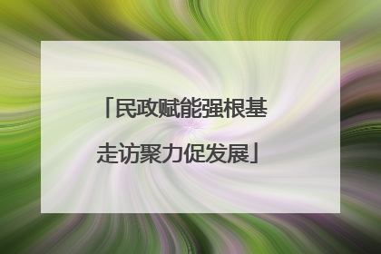 民政赋能强根基 走访聚力促发展