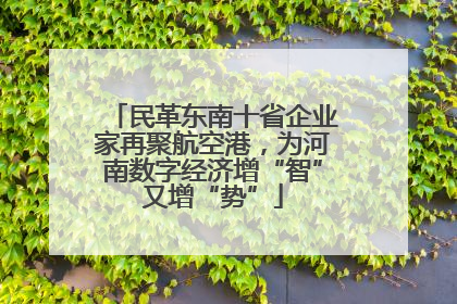 民革东南十省企业家再聚航空港，为河南数字经济增“智”又增“势”