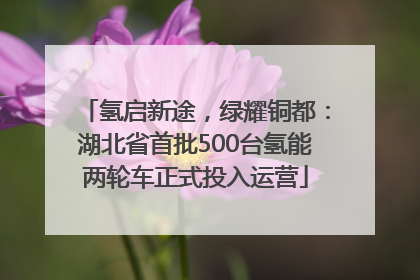 氢启新途，绿耀铜都：湖北省首批500台氢能两轮车正式投入运营