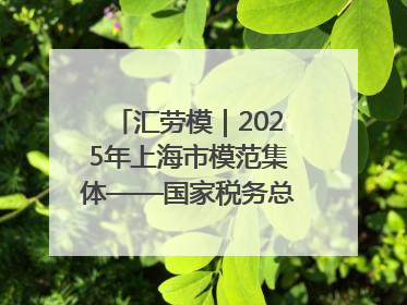 汇劳模｜2025年上海市模范集体——国家税务总局上海市徐汇区税务局第一税务所