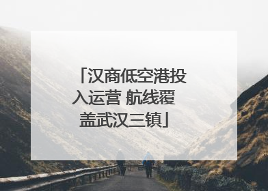 汉商低空港投入运营 航线覆盖武汉三镇