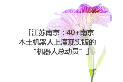 江苏南京：40+南京本土机器人上演现实版的“机器人总动员”