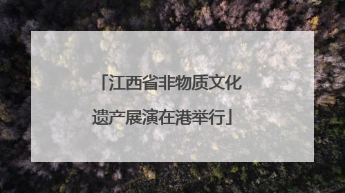 江西省非物质文化遗产展演在港举行