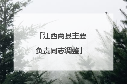 江西两县主要负责同志调整