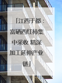 江西于都：富硒西红柿集中采收 精深加工延伸产业链