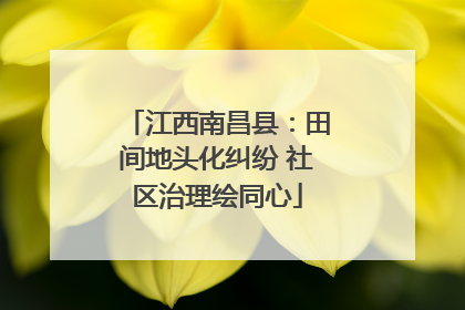 江西南昌县：田间地头化纠纷 社区治理绘同心