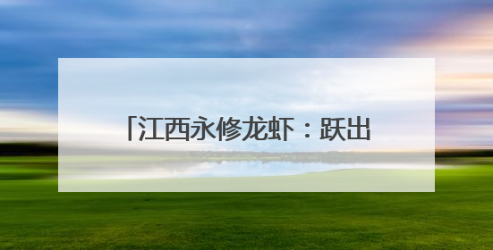 江西永修龙虾：跃出稻虾田 飘香京城宴