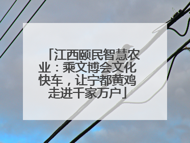 江西颐民智慧农业：乘文博会文化快车，让宁都黄鸡走进千家万户