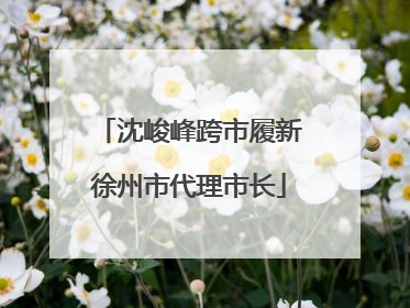 沈峻峰跨市履新徐州市代理市长