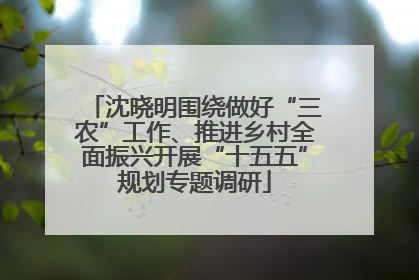沈晓明围绕做好“三农”工作、推进乡村全面振兴开展“十五五”规划专题调研