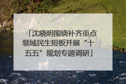 沈晓明围绕补齐重点领域民生短板开展“十五五”规划专题调研