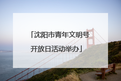 沈阳市青年文明号开放日活动举办