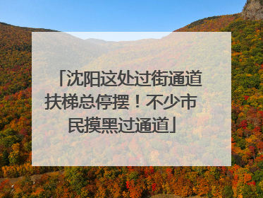 沈阳这处过街通道扶梯总停摆！不少市民摸黑过通道