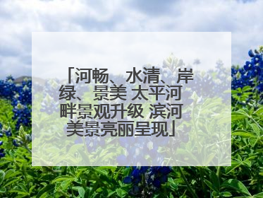 河畅、水清、岸绿、景美 太平河畔景观升级 滨河美景亮丽呈现