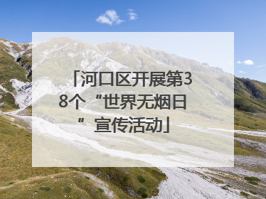 河口区开展第38个“世界无烟日”宣传活动