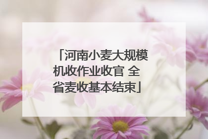 河南小麦大规模机收作业收官 全省麦收基本结束