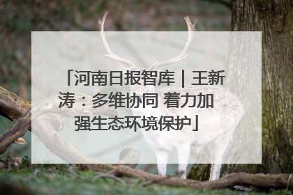 河南日报智库｜王新涛：多维协同 着力加强生态环境保护