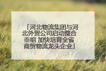 河北物流集团与河北外贸公司启动整合重组 加快培育全省商贸物流龙头企业