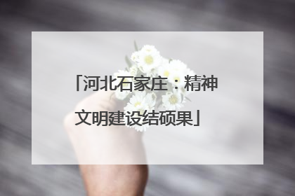 河北石家庄：精神文明建设结硕果