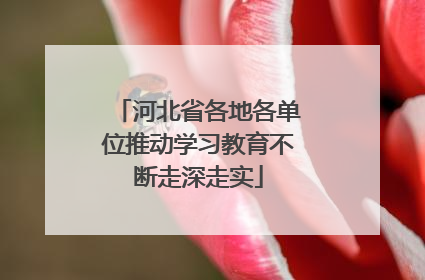 河北省各地各单位推动学习教育不断走深走实