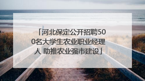 河北保定公开招聘500名大学生农业职业经理人 助推农业强市建设