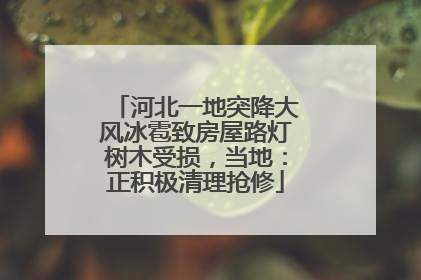 河北一地突降大风冰雹致房屋路灯树木受损，当地：正积极清理抢修