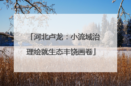 河北卢龙：小流域治理绘就生态丰饶画卷