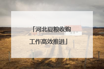 河北夏粮收购工作高效推进