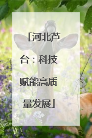 河北芦台：科技赋能高质量发展
