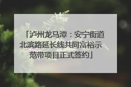 泸州龙马潭：安宁街道北滨路延长线共同富裕示范带项目正式签约