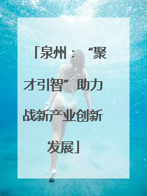 泉州：“聚才引智”助力战新产业创新发展