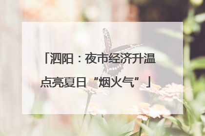 泗阳：夜市经济升温 点亮夏日“烟火气”