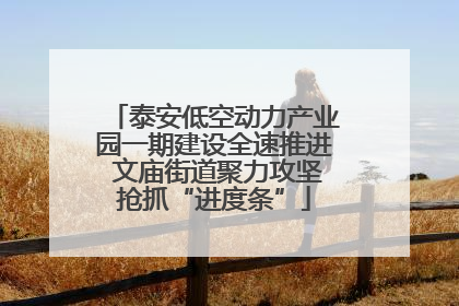 泰安低空动力产业园一期建设全速推进 文庙街道聚力攻坚抢抓“进度条”
